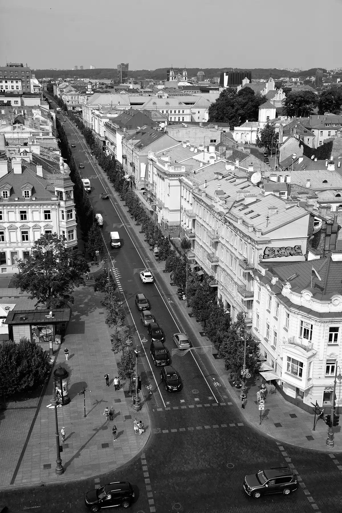 Gonçalo Cunha de Sá