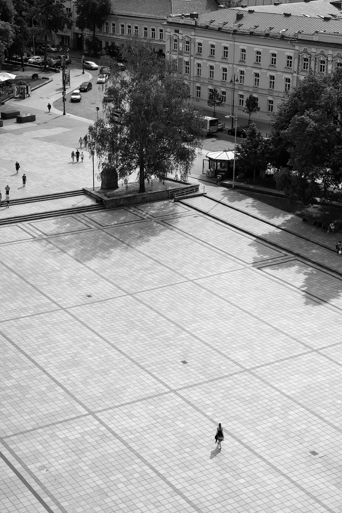 Gonçalo Cunha de Sá