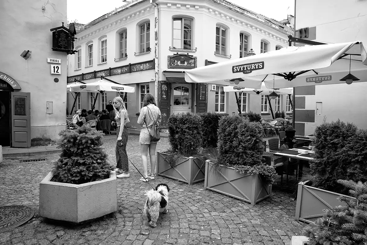 Gonçalo Cunha de Sá