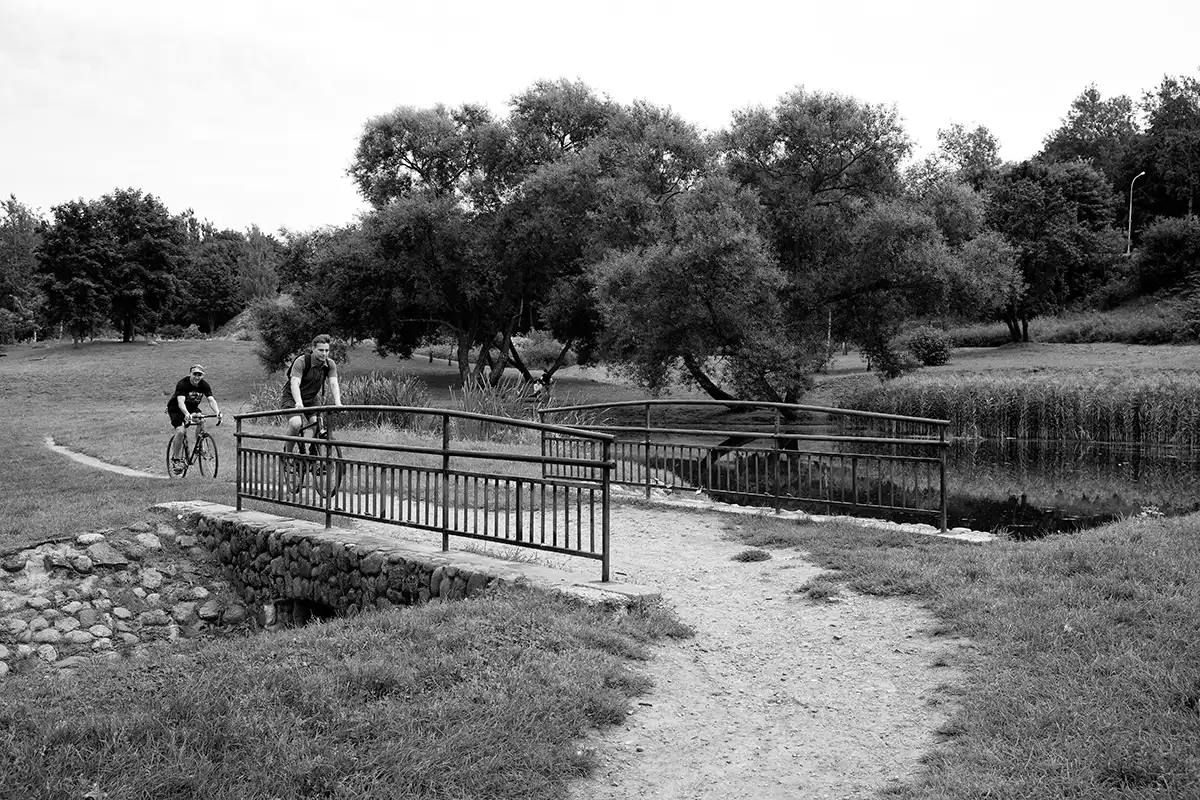 Gonçalo Cunha de Sá