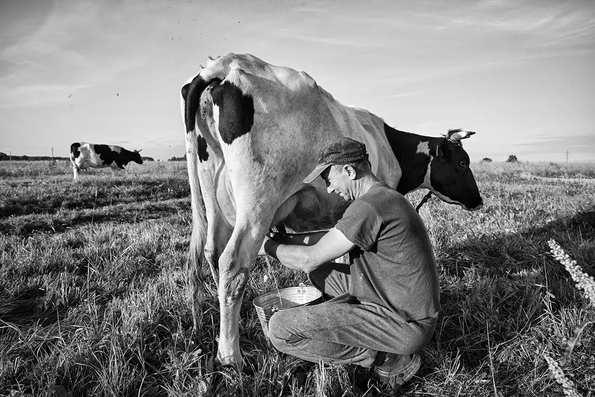 Gonçalo Cunha de Sá