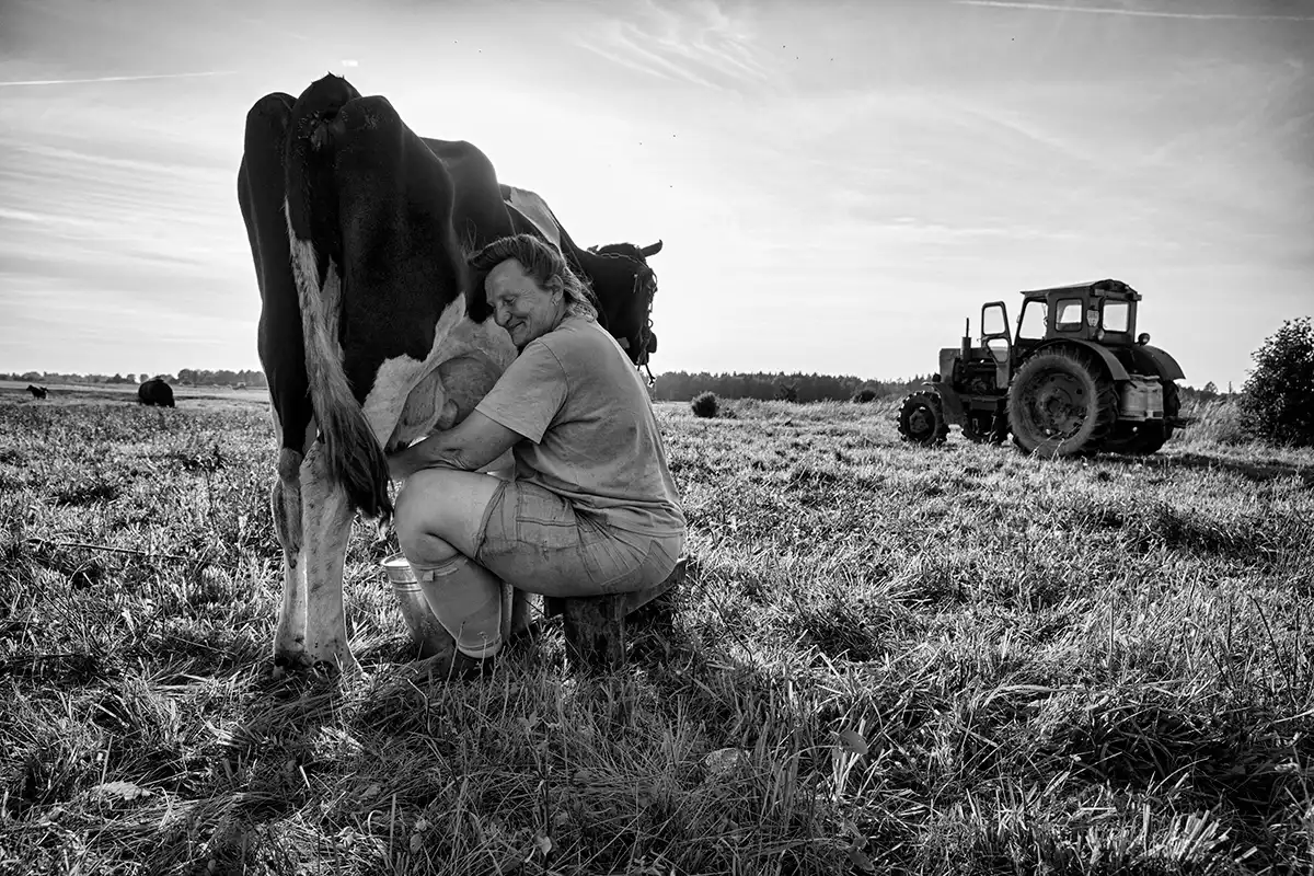 Gonçalo Cunha de Sá