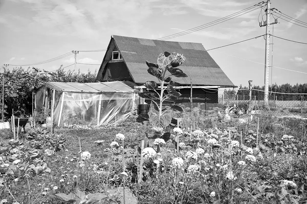 Gonçalo Cunha de Sá