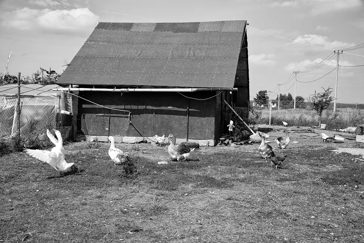 Gonçalo Cunha de Sá