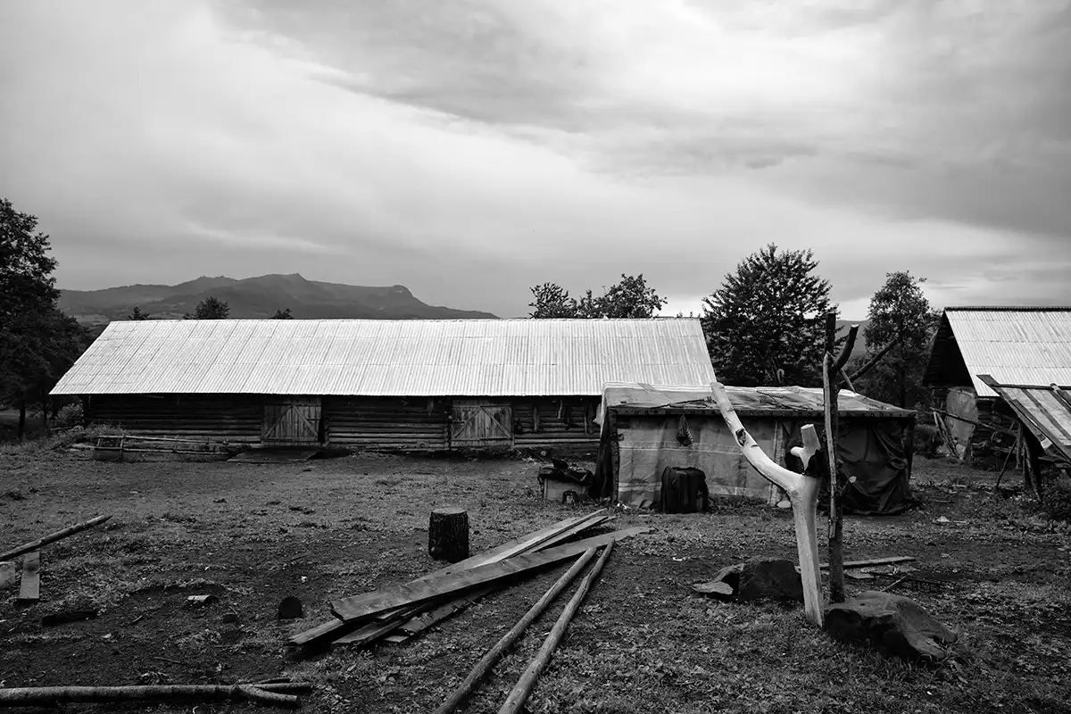 Gonçalo Cunha de Sá