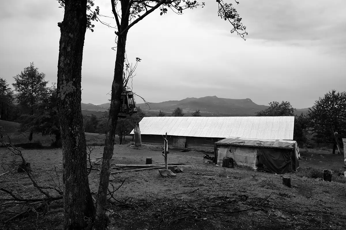 Gonçalo Cunha de Sá