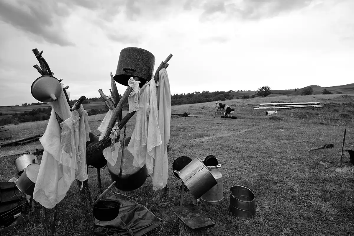 Gonçalo Cunha de Sá