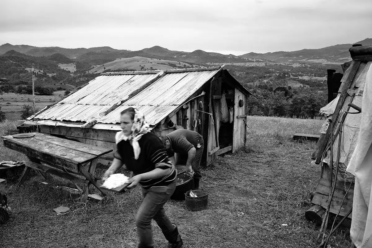 Gonçalo Cunha de Sá