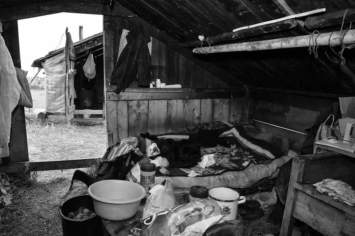 Gonçalo Cunha de Sá