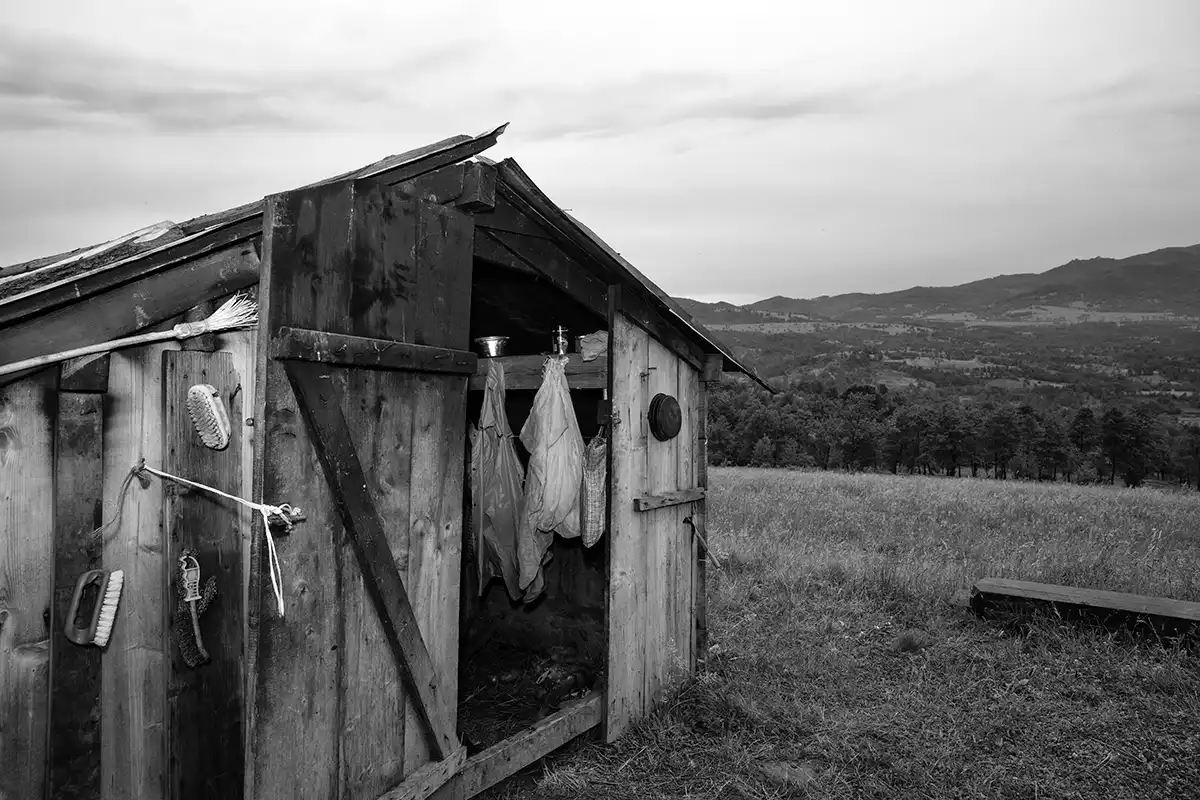 Gonçalo Cunha de Sá