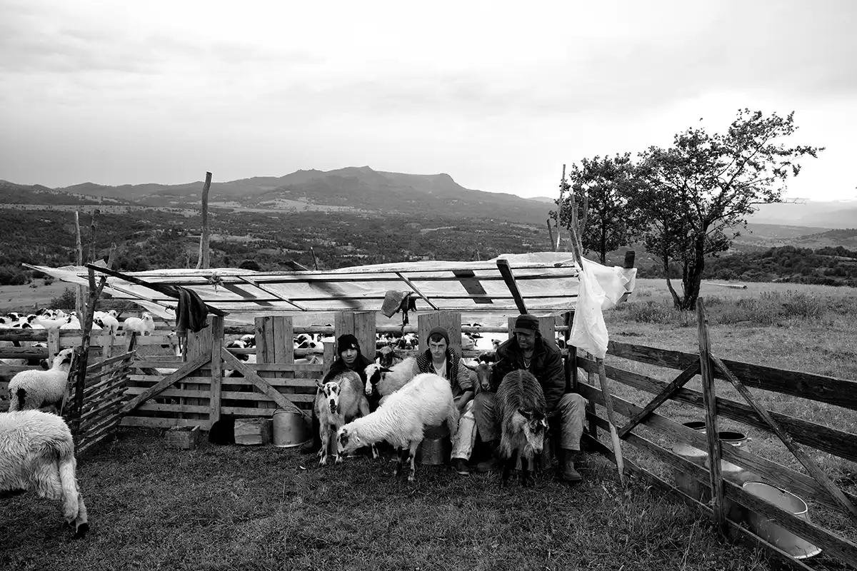 Gonçalo Cunha de Sá