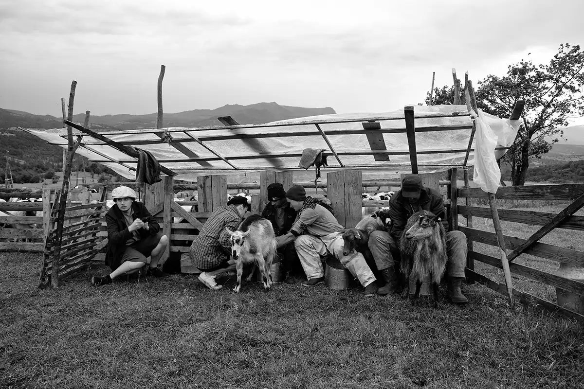 Gonçalo Cunha de Sá