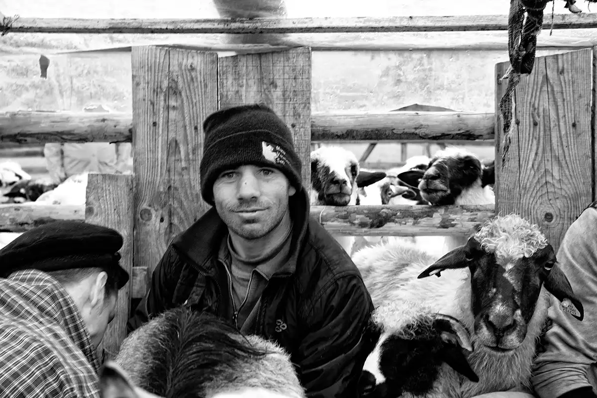 Gonçalo Cunha de Sá