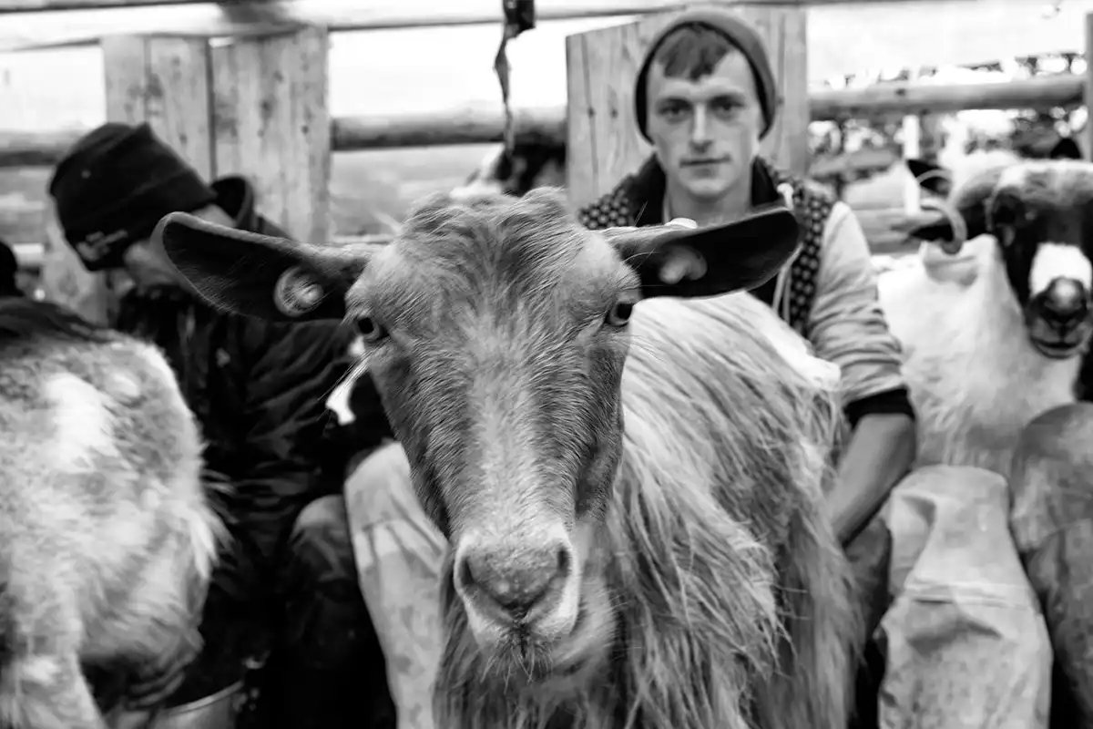 Gonçalo Cunha de Sá