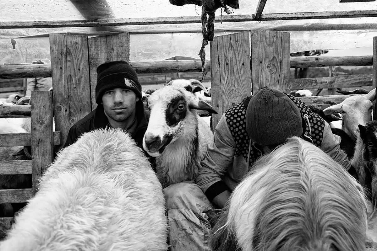 Gonçalo Cunha de Sá