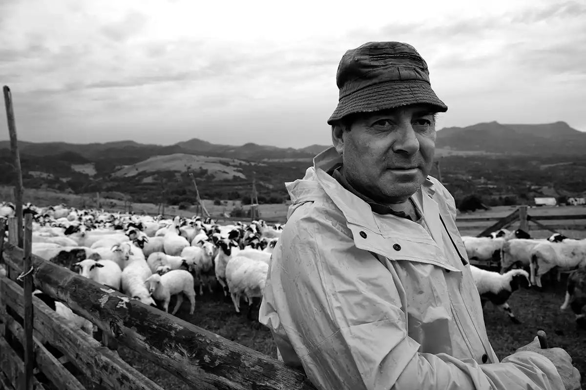 Gonçalo Cunha de Sá