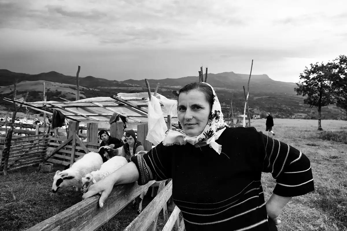 Gonçalo Cunha de Sá