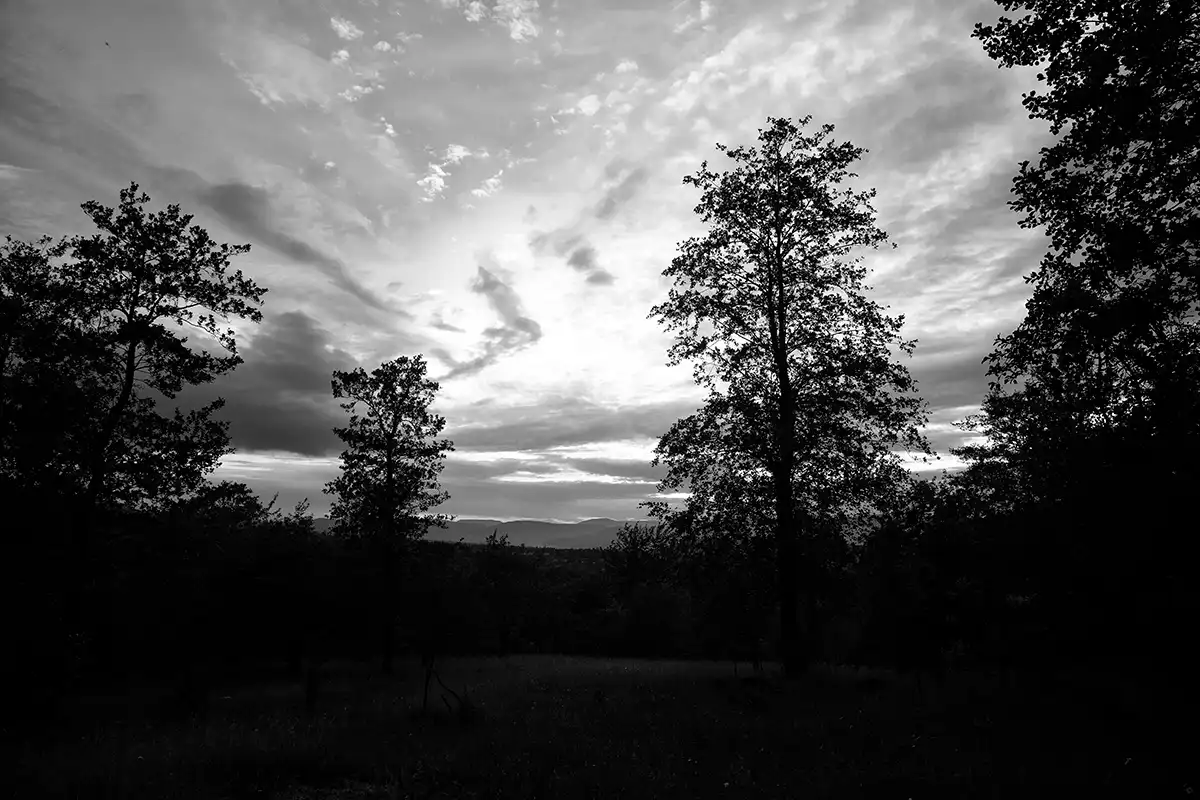 Gonçalo Cunha de Sá