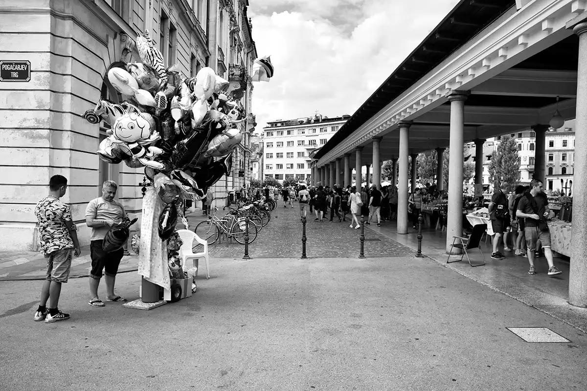 Gonçalo Cunha de Sá