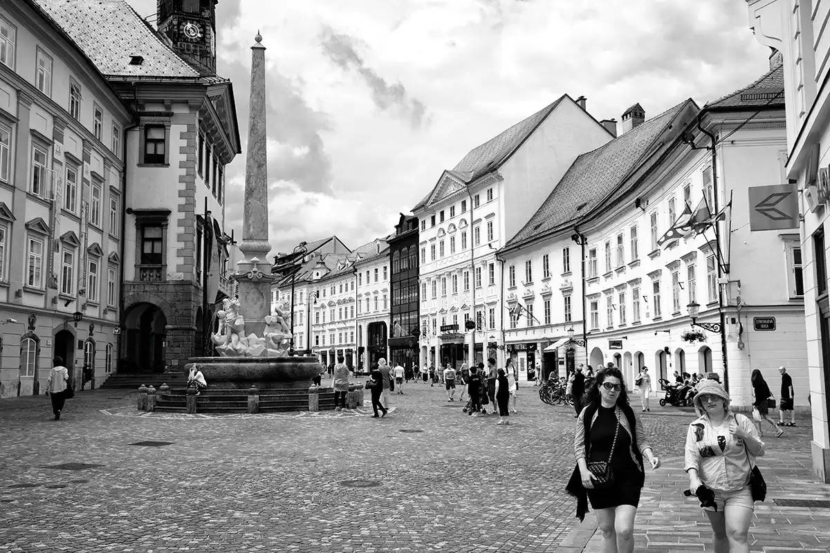 Gonçalo Cunha de Sá