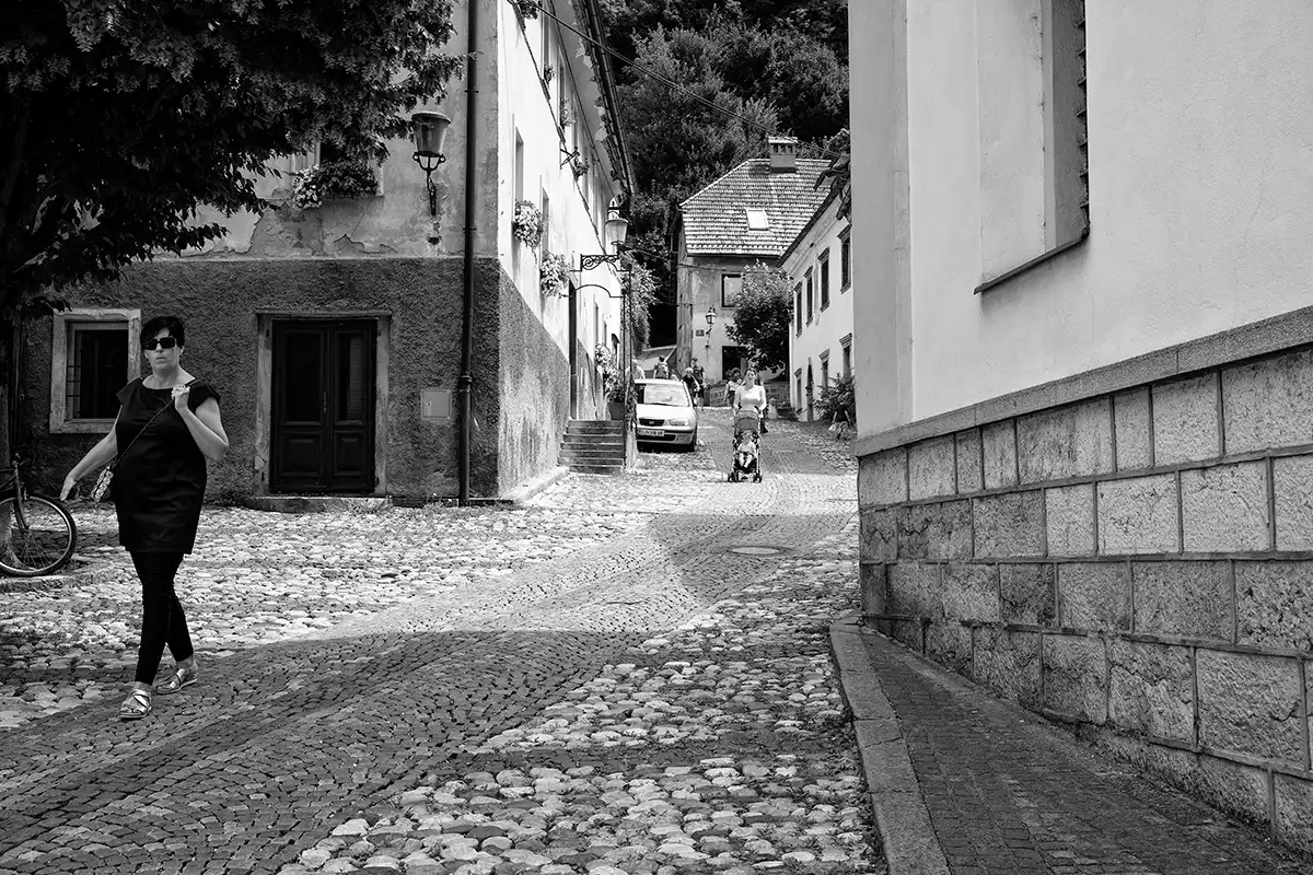 Gonçalo Cunha de Sá