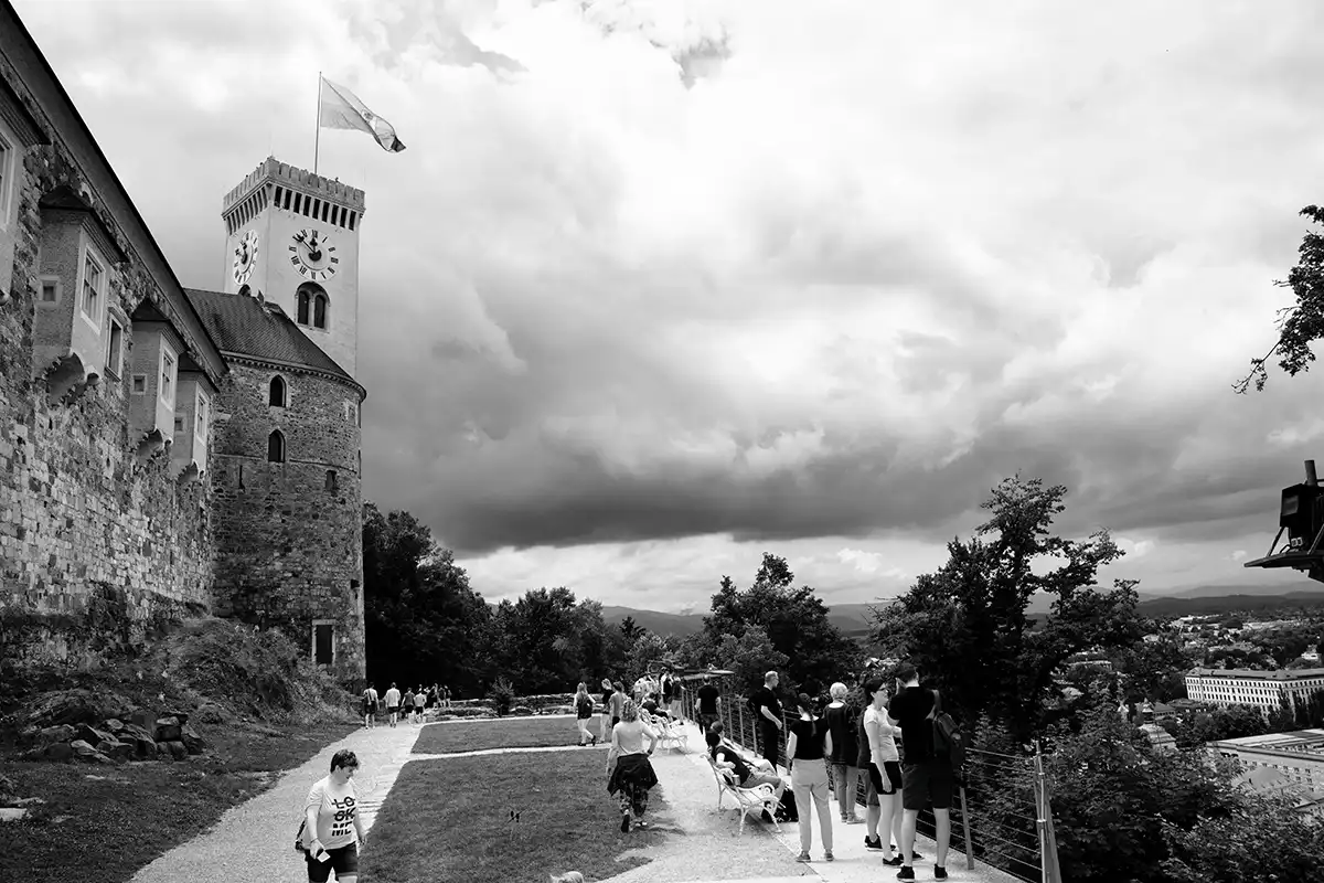 Gonçalo Cunha de Sá