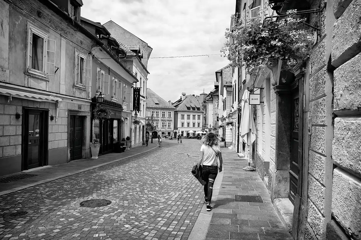 Gonçalo Cunha de Sá