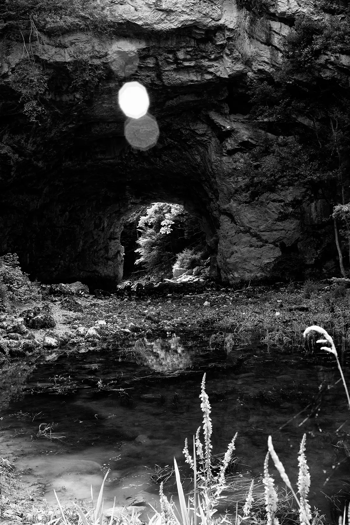 Gonçalo Cunha de Sá