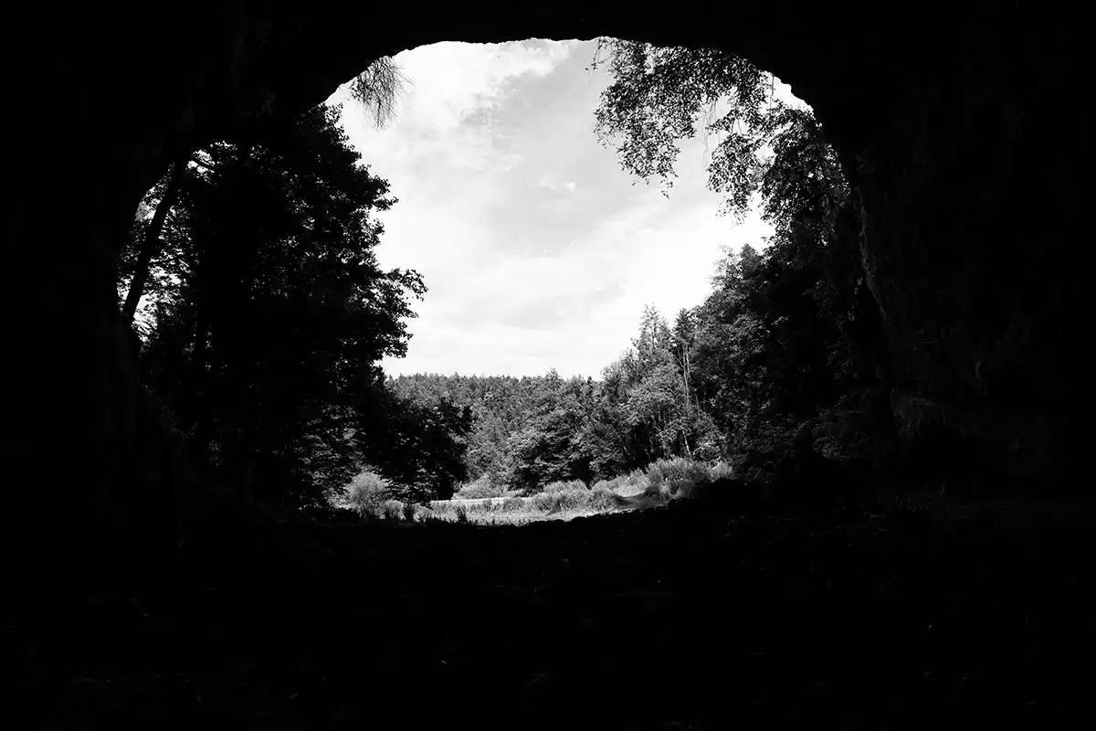 Gonçalo Cunha de Sá